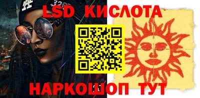 apvp Бердск