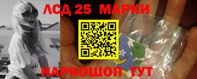 apvp Бердск